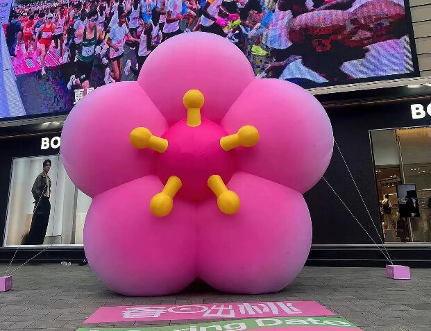 ����ӣ��